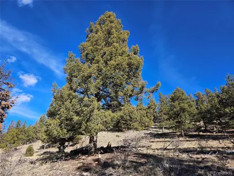 Bonell Dr, Fairplay, CO 80440 photo 7
