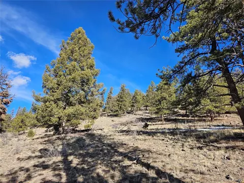 Bonell Dr, Fairplay, CO 80440 photo 6