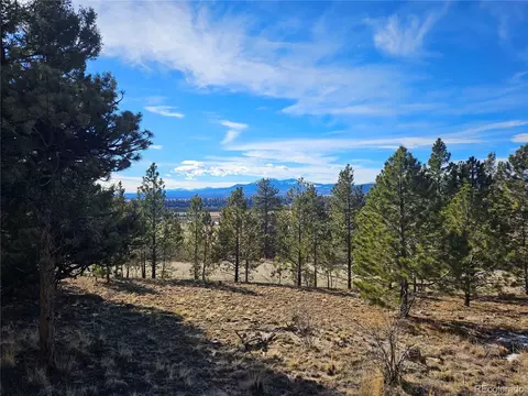 Bonell Dr, Fairplay, CO 80440 photo 20