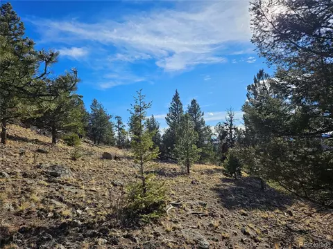 Bonell Dr, Fairplay, CO 80440 photo 21