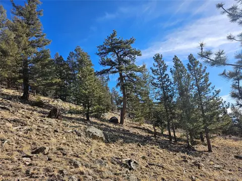Bonell Dr, Fairplay, CO 80440 photo 23