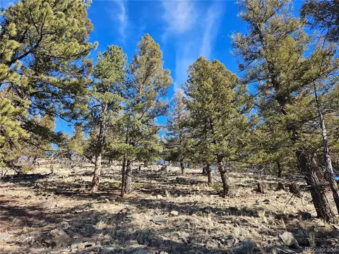 Bonell Dr, Fairplay, CO 80440 photo 26