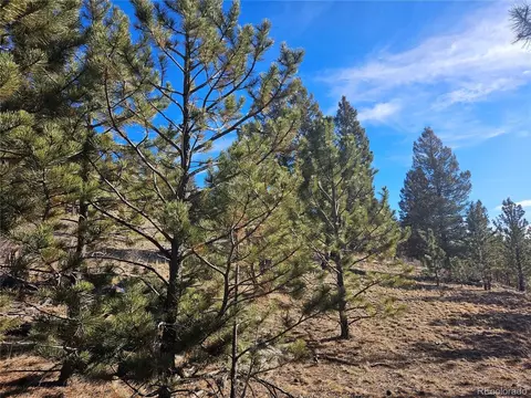 Bonell Dr, Fairplay, CO 80440 photo 16