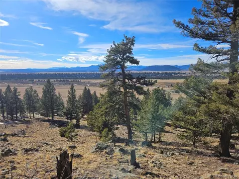 Bonell Dr, Fairplay, CO 80440 photo 27