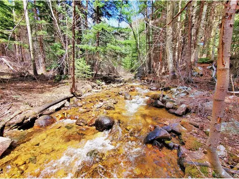 1100 Mill Creek Rd, Dumont, CO 80436