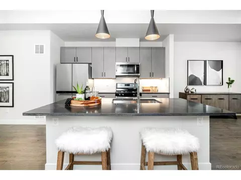 1287 N Stuart St, Denver, CO 80204 photo 8
