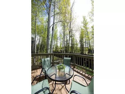 Exterior - 18 Hawn Dr, Frisco, CO 80443 photo 11 of 13