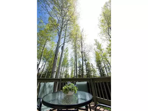 Exterior - 18 Hawn Dr, Frisco, CO 80443 photo 12 of 13