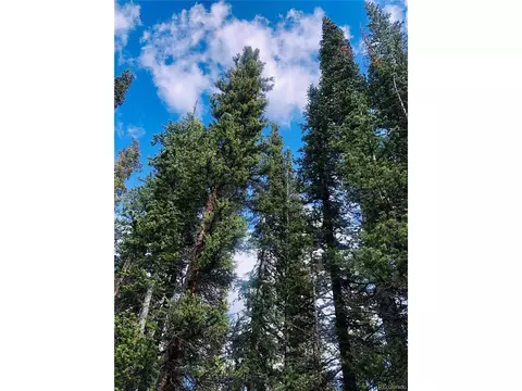 550 Porcupine Rd, Fairplay, CO 80440