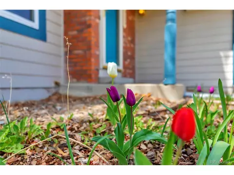 18254 E Tanforan Dr, Aurora, CO 80015 photo 30