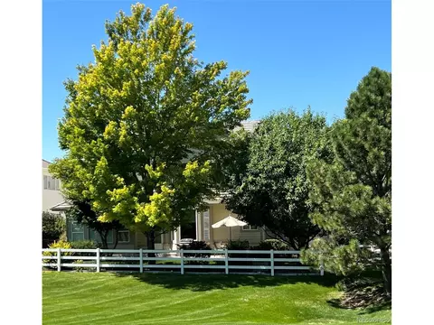 10140 Longview Dr, Lone Tree, CO 80124 photo 24