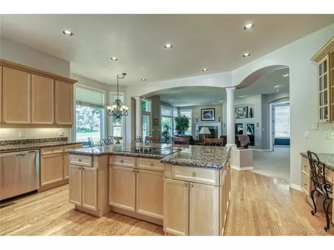 10140 Longview Dr, Lone Tree, CO 80124 photo 9