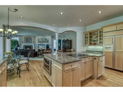 10140 Longview Dr, Lone Tree, CO 80124 photo 10