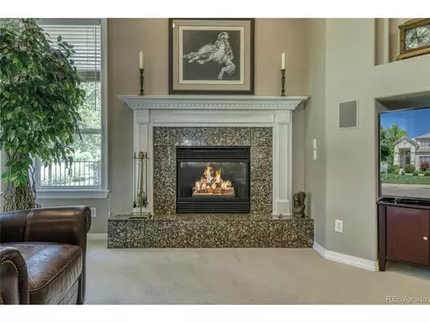 10140 Longview Dr, Lone Tree, CO 80124 photo 19