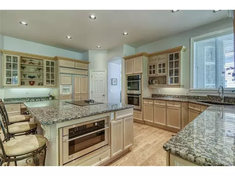 10140 Longview Dr, Lone Tree, CO 80124 photo 13