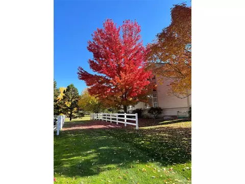 10140 Longview Dr, Lone Tree, CO 80124 photo 38