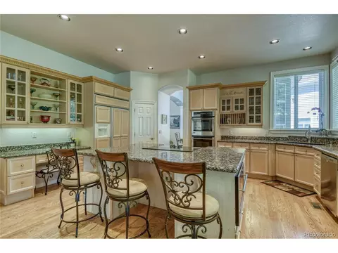 10140 Longview Dr, Lone Tree, CO 80124 photo 11