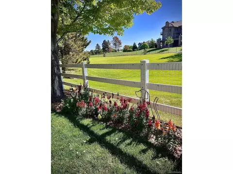 10140 Longview Dr, Lone Tree, CO 80124 photo 21