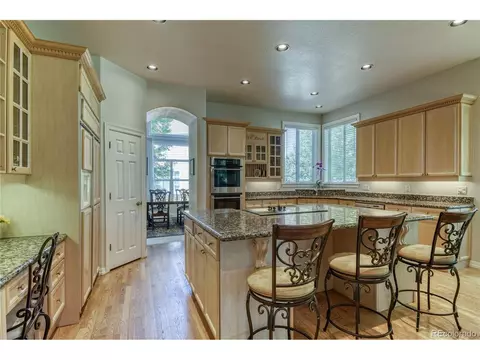 10140 Longview Dr, Lone Tree, CO 80124 photo 12