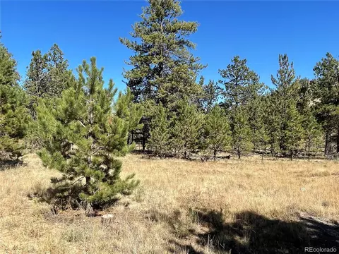 140 Haystack Rd, Hartsel, CO 80449 photo 5