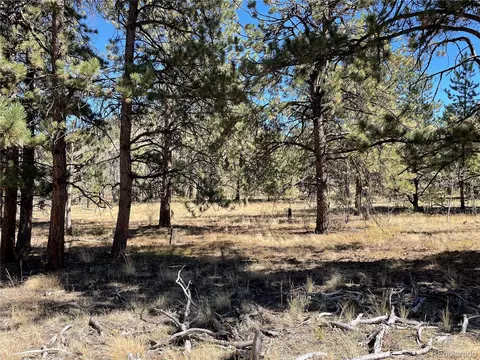 140 Haystack Rd, Hartsel, CO 80449 photo 10