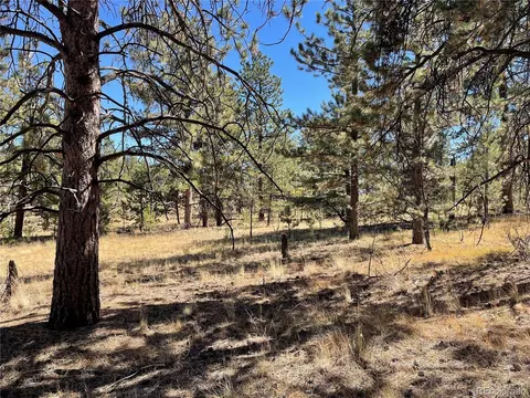 140 Haystack Rd, Hartsel, CO 80449