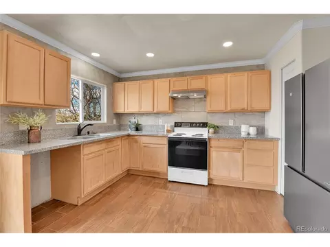 21455 E 44th Ave, Denver, CO 80249 photo 4