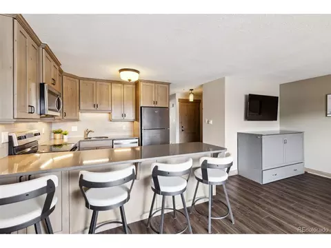863 Straight Creek Dr #202, Dillon, CO 80435