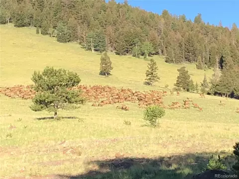 0 County Road 100, Guffey, CO 80820