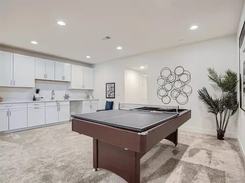 10101 E 59th Dr, Denver, CO 80238 photo 26