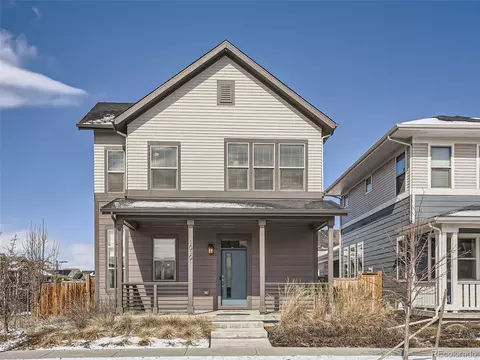 10101 E 59th Dr, Denver, CO 80238 photo 2