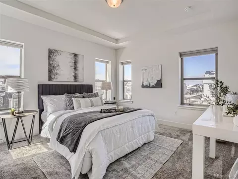 10101 E 59th Dr, Denver, CO 80238 photo 13
