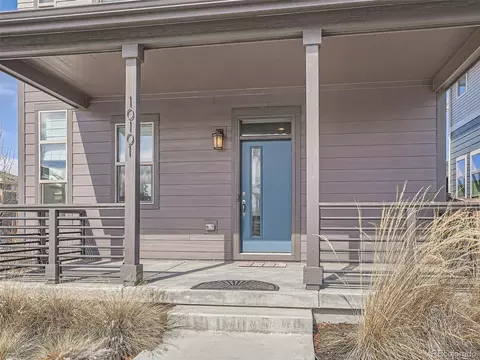10101 E 59th Dr, Denver, CO 80238 photo 3