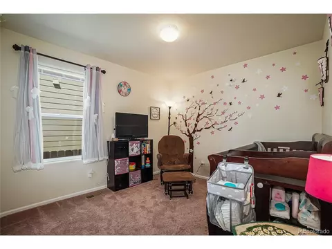 47386 Lily Ave, Bennett, CO 80102 photo 19
