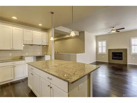 8935 E 49th Pl, Denver, CO 80238 photo 9