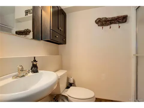 11914 S Stallion Dr, Pine, CO 80470 photo 25