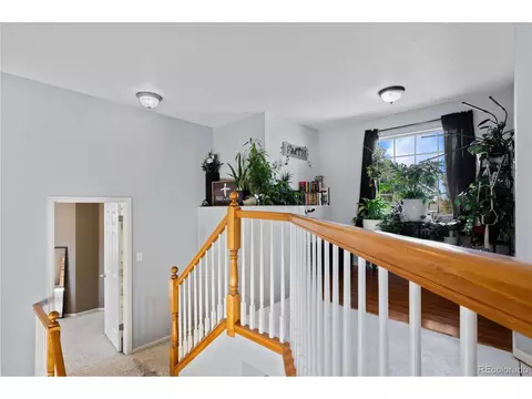 5358 Badger Ct, Frederick, CO 80504 photo 31