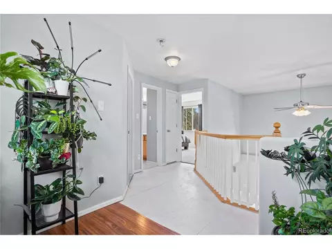 5358 Badger Ct, Frederick, CO 80504 photo 32