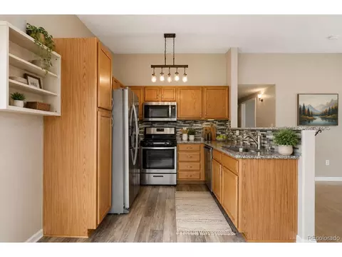 8427 Thunder Ridge Way #203, Littleton, CO 80126
