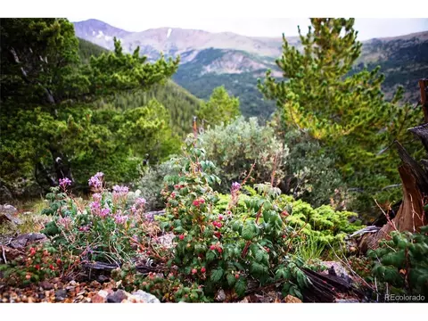 0 Fs 1871, Black Hawk, CO 80422 photo 33