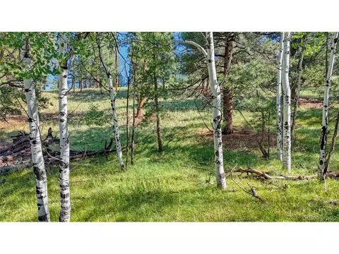 91 Antelope Cir, Florissant, CO 80816