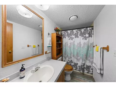 7573 Woodruff St, Fort Lupton, CO 80621 photo 17