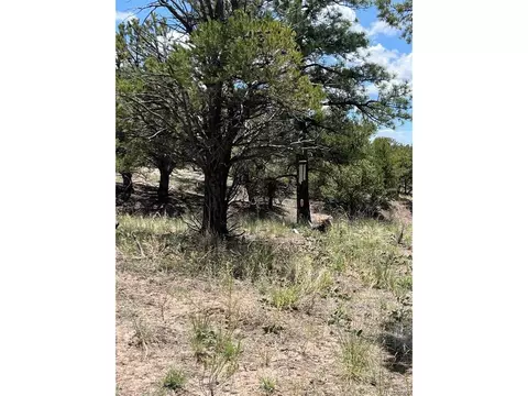 1153 Badger Rd, Crestone, CO 81131 photo 3