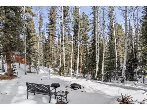 4076 Omer Ln, Divide, CO 80814 photo 26