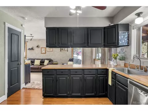4076 Omer Ln, Divide, CO 80814 photo 7