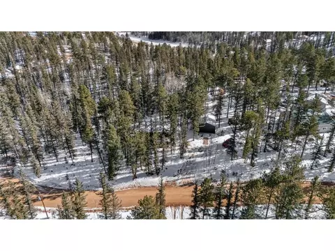 4076 Omer Ln, Divide, CO 80814 photo 38