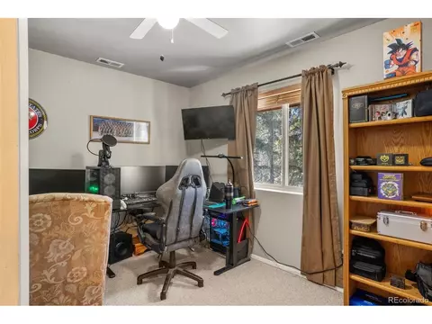 4076 Omer Ln, Divide, CO 80814 photo 15