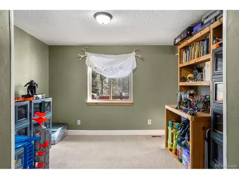 4076 Omer Ln, Divide, CO 80814 photo 11