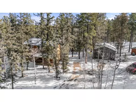 4076 Omer Ln, Divide, CO 80814 photo 37