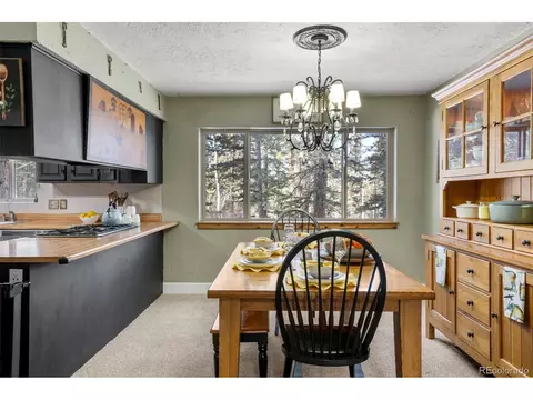4076 Omer Ln, Divide, CO 80814 photo 9